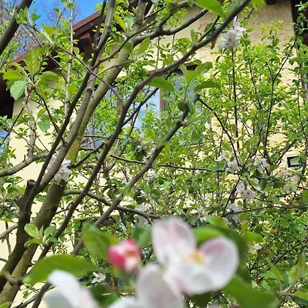 Nature Surrounded 2 Bedroom דירה קלוז'-נאפוקה
