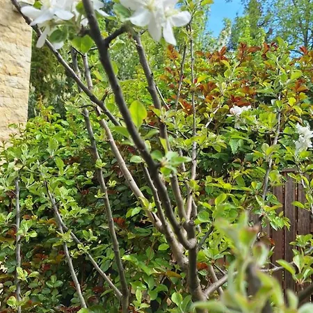 דירה Nature Surrounded 2 Bedroom *